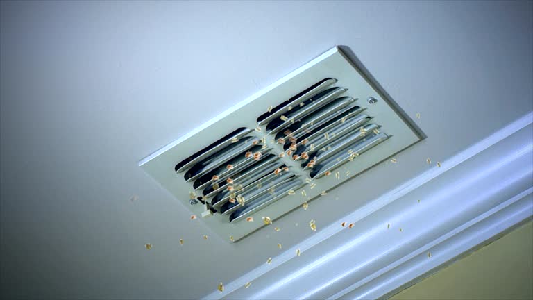 Best Commercial HVAC Duct Cleaning  in Crandall, TX